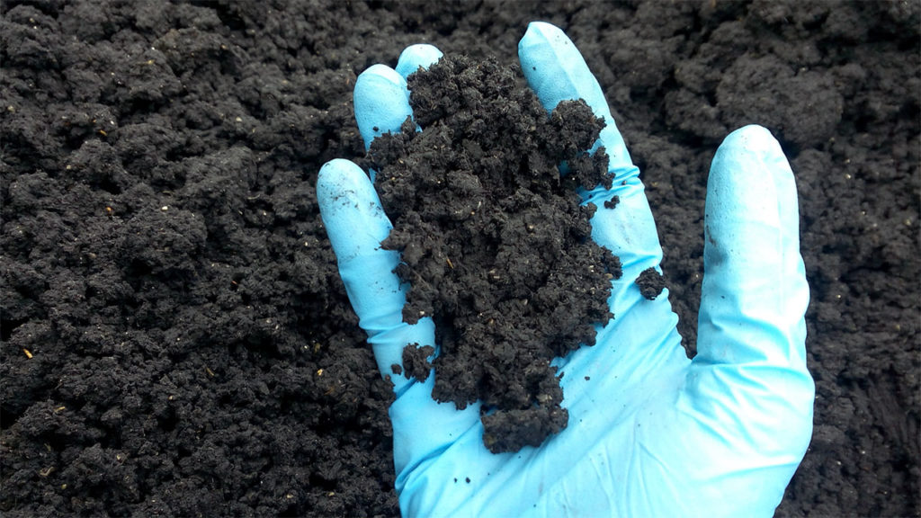 Boues SLG Déshydratées